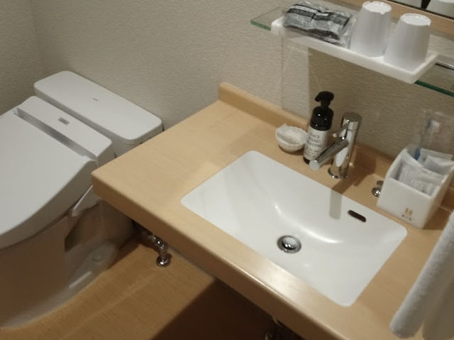 大阪逸之彩酒店 日本橋