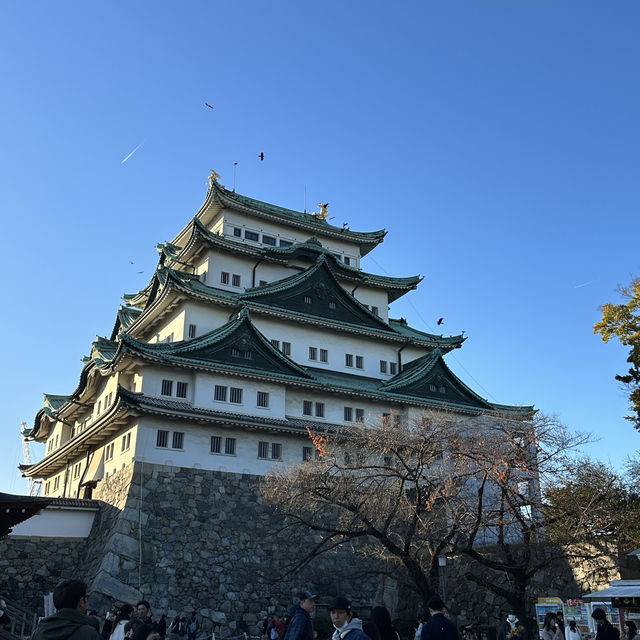 名古屋城で鯱鉾見よう！