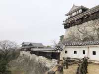 🏯四國愛媛松山城：江戶歷史、花海襯古城🏯