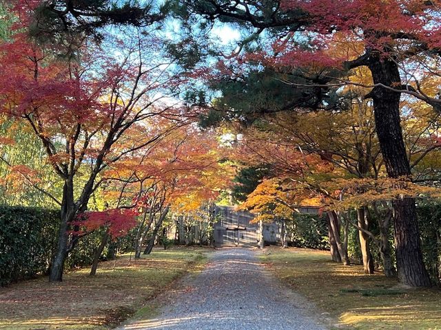 歷史悠久的日本庭園 。桂離宮