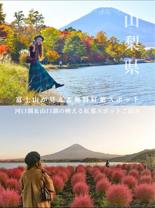 山中湖&河口湖の無料紅葉スポット紹介