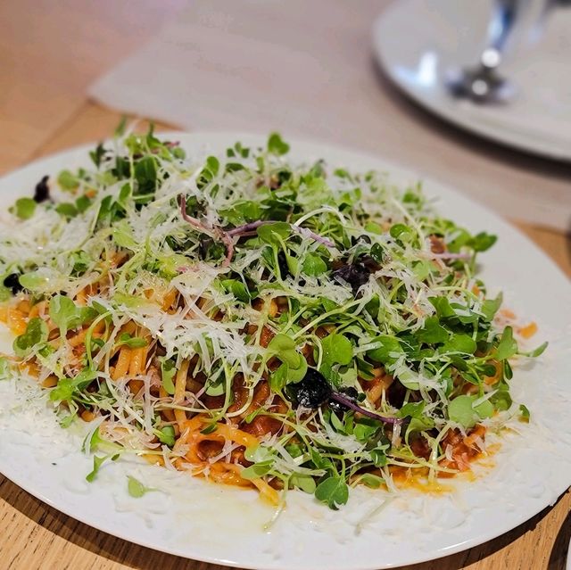 국내여행 광주의 맛집 카페 올리비아에서 점심을