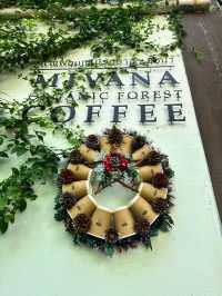 🌟MiVana Coffee คาเฟ่ป่ากลางกรุง