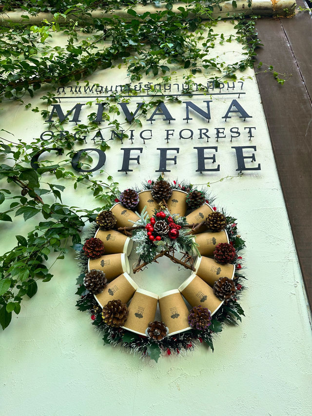 🌟MiVana Coffee คาเฟ่ป่ากลางกรุง