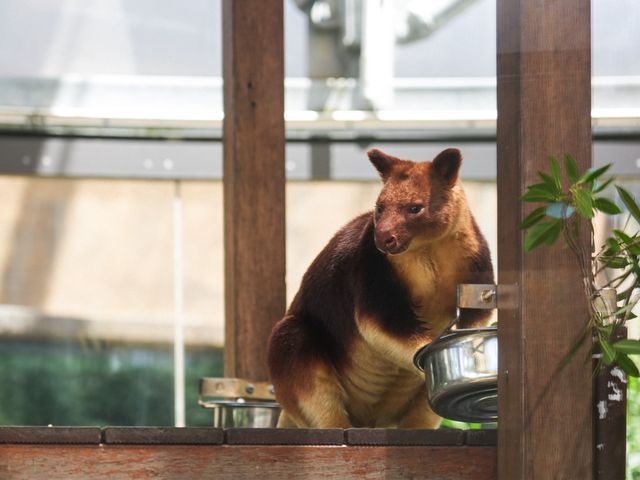 Best Indoor Wild Life Experience in Sydney 