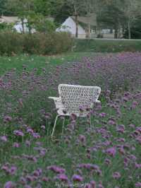 Bliss & Bloom Cafe ทับลาน