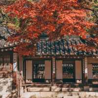 Changdeokgung's Secret Garden scenery