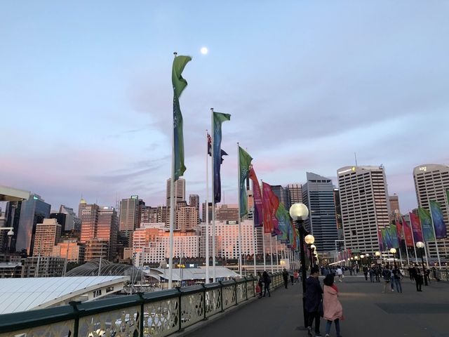 🎆悉尼達令港：海灣煙火秀，多元化娛樂🎆
