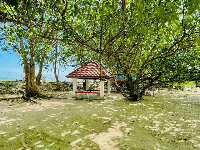 A haven for relaxation and introspection.
