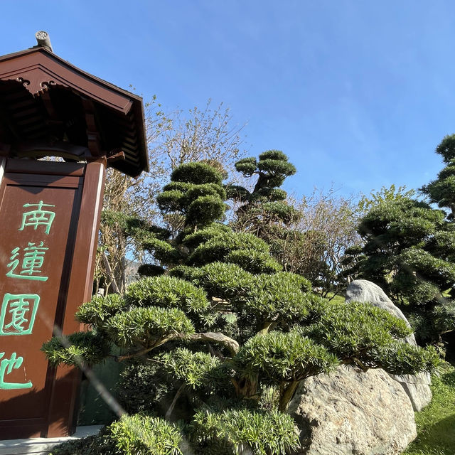 香港小京都，南蓮園池