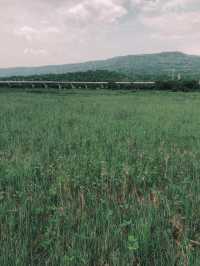เขื่อนลำตะคอง ปากช่อง-เขาใหญ่