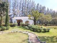  Trio Farm Cafe  