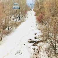 Frosty Adventure in Harbin