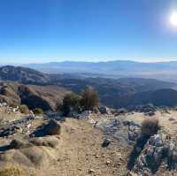 Spontaneous trip to Joshua Tree