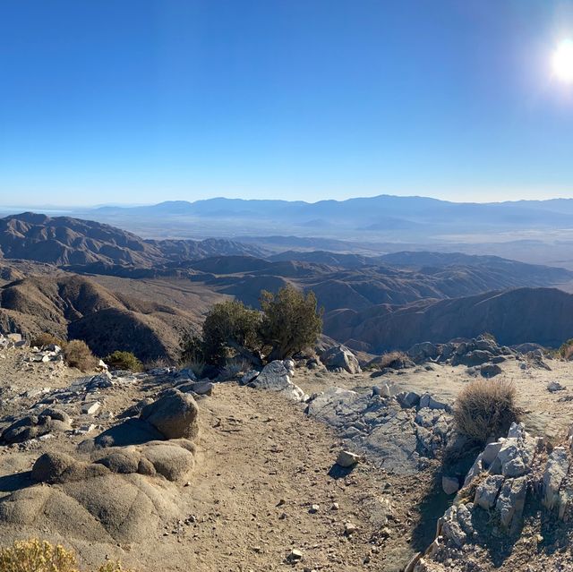 Spontaneous trip to Joshua Tree