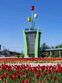 Tonami Tulip Park