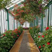 Royal Greenhouses of Laeken