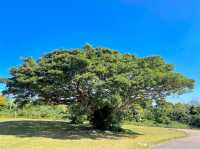 Gusuku Road Park