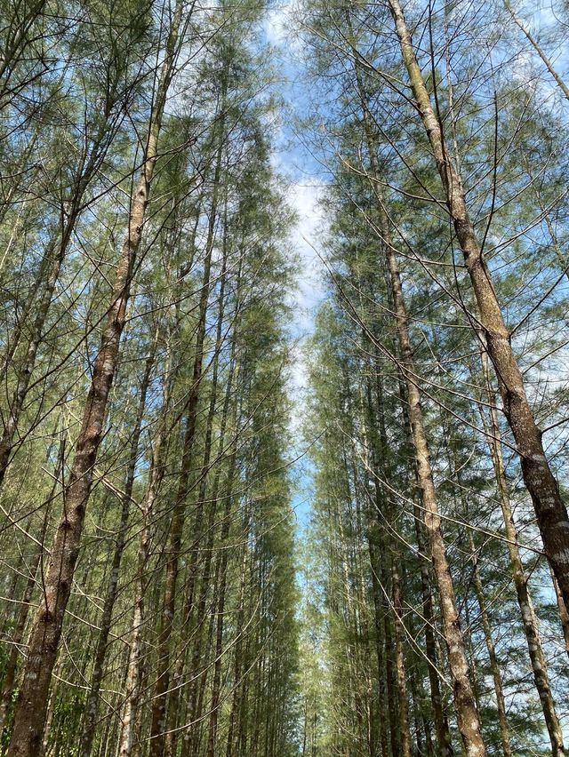 เหมืองหินถ้ำทองหลาง ทับปุด จ.พังงา