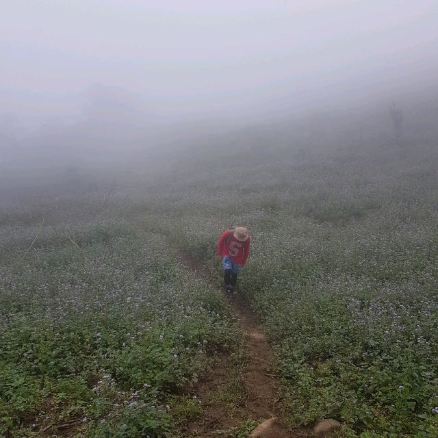 Ta Chi Nhu - a sea of clouds