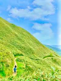宜蘭後花園「抹茶山」莫蘭迪翠綠