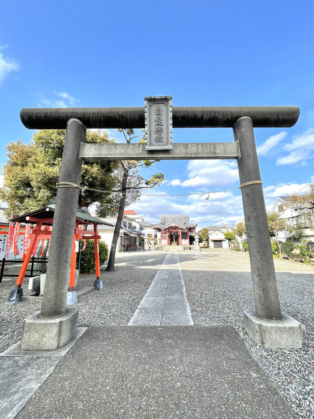 【平井白髭神社/東京都】広々とした境内と個性的な狛犬