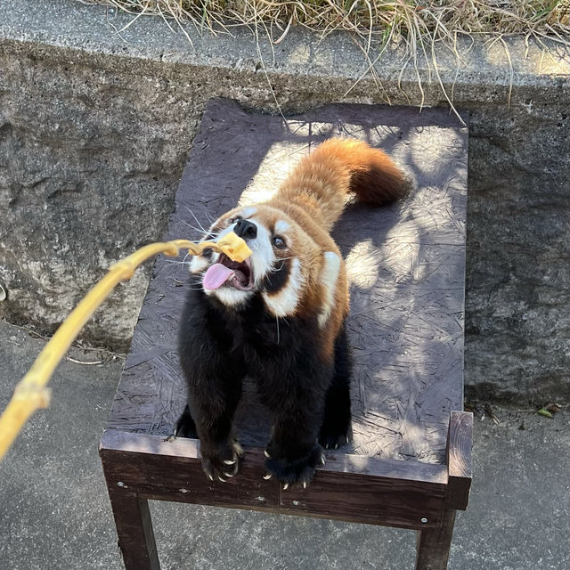 日本本土最西端ー九十九島