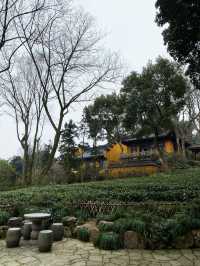 Most beautiful temple in China 😨😨