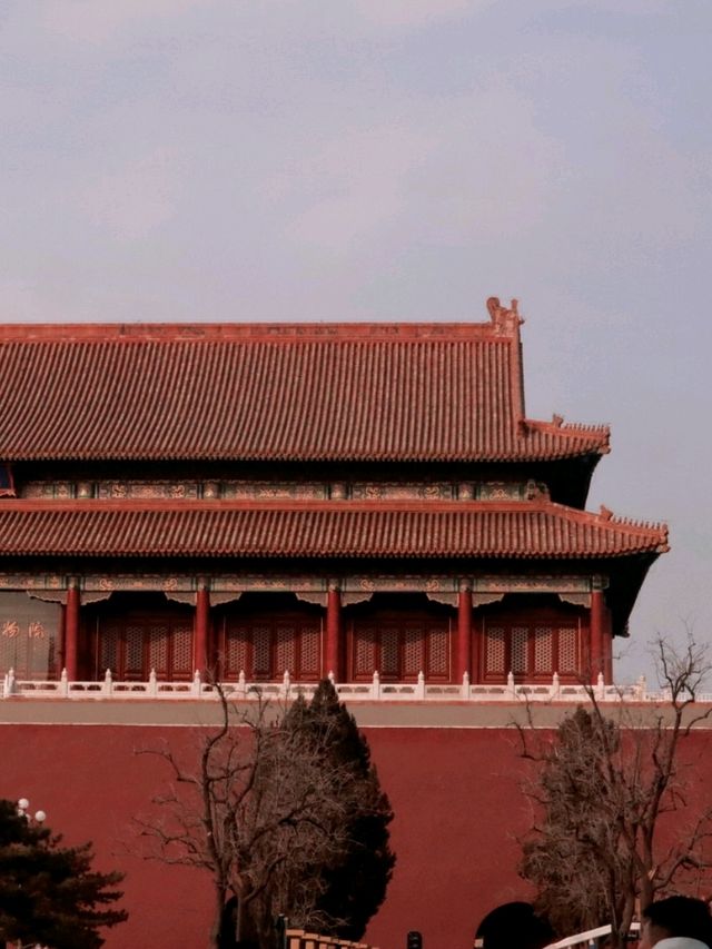 北京丨紅墻內的景色丨北京故宮博物院