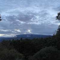 Witnessing Magic: Alishan Sunrise Adventure