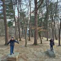 Trip To Nami Island