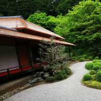 「安養園庭園」禪意枯山水景觀，超脫塵世的靈性狀態