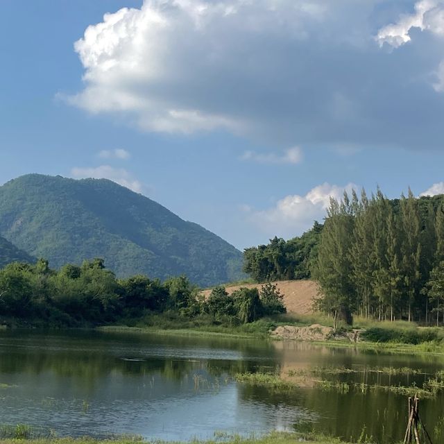 คาเฟ่กลางป่าสน 🌲