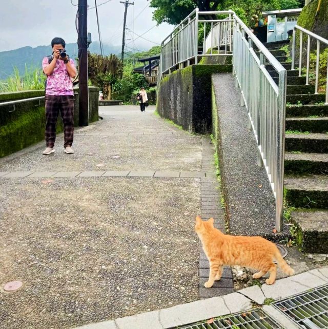 หมู่บ้านแมว Houtong Cat Village 