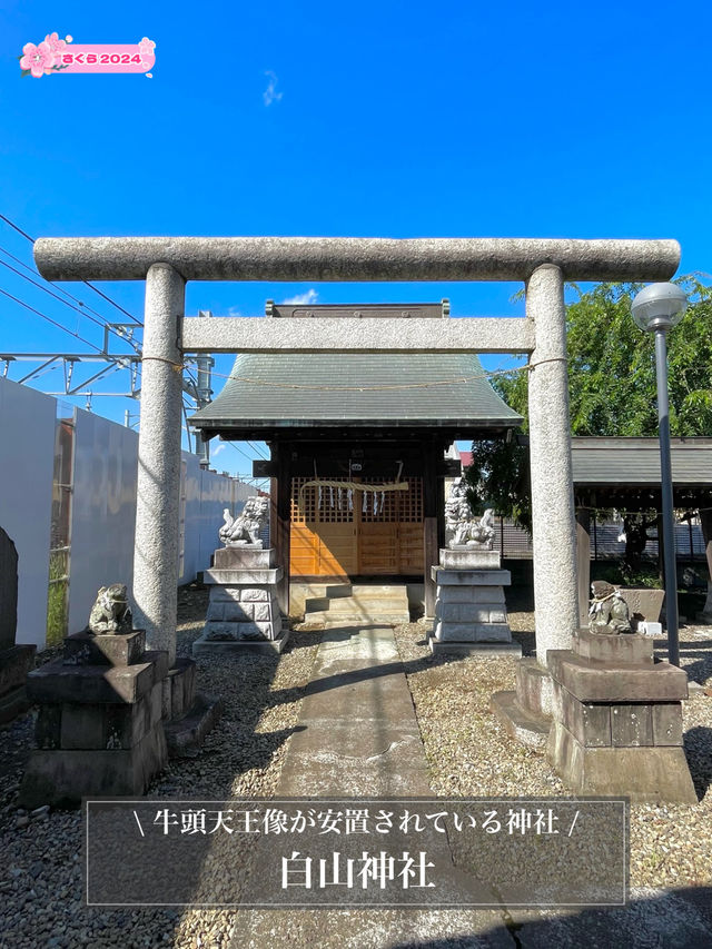 【白山神社/東京都】牛頭天王像が安置されている神社