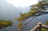 Huangshan. A Kingdom In The Cloud