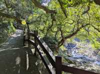 Cheonjeyeon Waterfalls