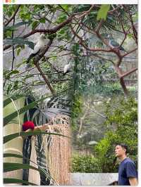 🌟春日探訪香港綠洲:尤德觀鳥園🌿