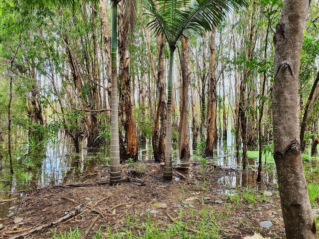 Cattana Wetlands
