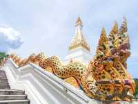 มาเที่ยววัดเนินหย่อง