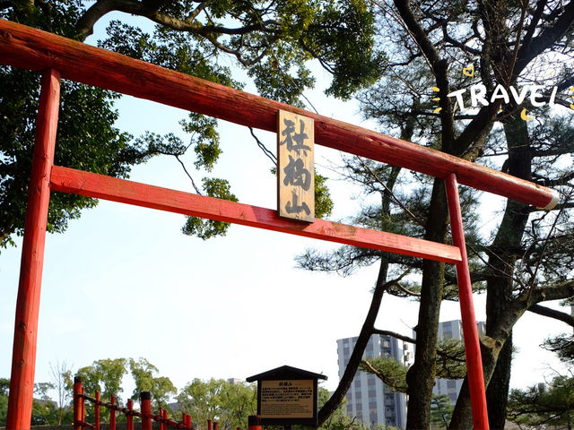 【日本廣島景點】縮景園之三：除了日櫻🌸還有限定活動：夜櫻🌸被夜櫻埋沒的縮景園更令人陶醉🌸