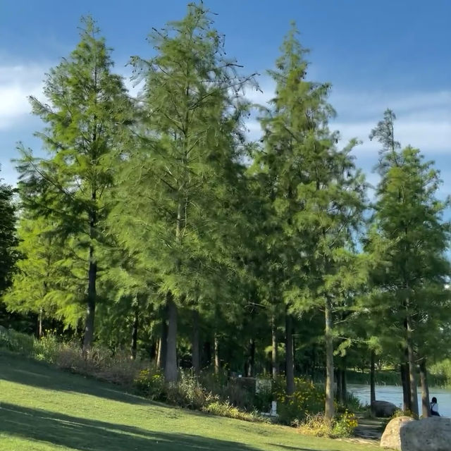 「府山公園：自然美景，多彩活動，春天好去處」
