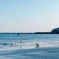 「海螢島」：原始生態、碧海藍天