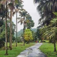 【布吉景點】崇聖公園~山峰流泉,絕對值得推薦!