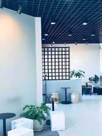🎂 S-Curve Specialty Coffee Cafe