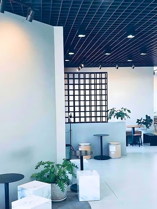 🎂 S-Curve Specialty Coffee Cafe