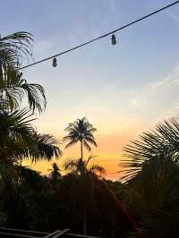 Barracuda at Darawan Roof Terrace Koh Tao
