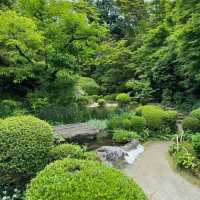「清水觀音堂」- 神聖莊嚴的建築藝術與寧靜祥和的庭園景緻，探索東京神道文化的重要目的地