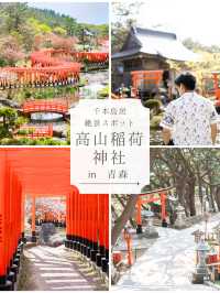 【青森にもあった！】千本鳥居絶景スポット⛩️⛩️高山稲荷神社