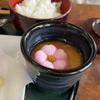 東京迪士尼海洋餐廳推介🫱🏻 櫻花🌸餐廳 Sakura Restaurant 